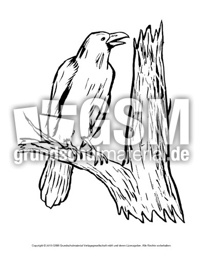 Ausmalbild-Krähe.pdf